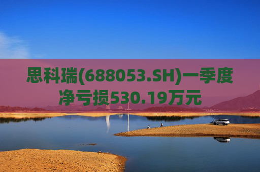思科瑞(688053.SH)一季度净亏损530.19万元