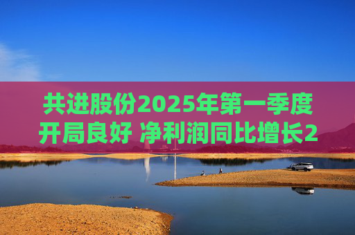 共进股份2025年第一季度开局良好 净利润同比增长267.63%