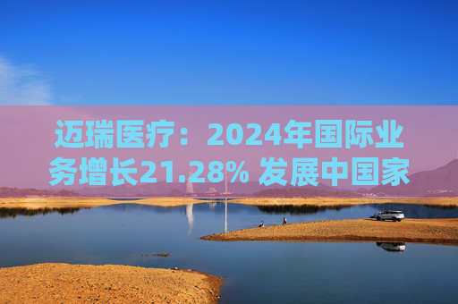 迈瑞医疗：2024年国际业务增长21.28% 发展中国家成重要增长引擎