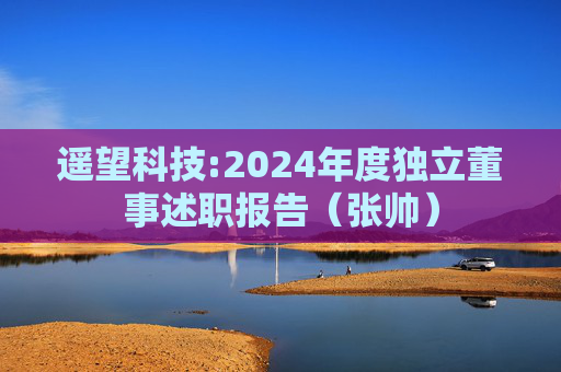 遥望科技:2024年度独立董事述职报告（张帅）