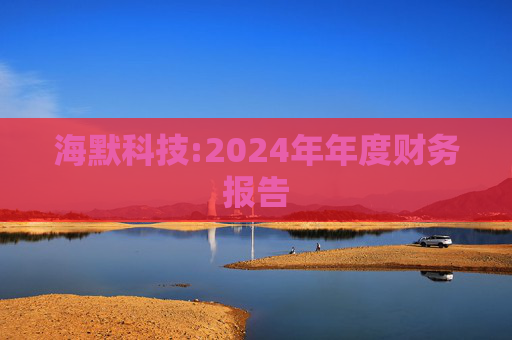 海默科技:2024年年度财务报告