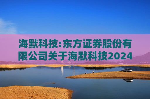 海默科技:东方证券股份有限公司关于海默科技2024年年度持续督导跟踪报告  第1张