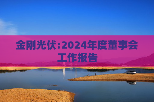 金刚光伏:2024年度董事会工作报告