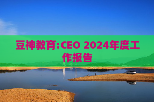 豆神教育:CEO 2024年度工作报告  第1张