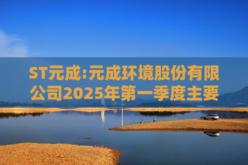 ST元成:元成环境股份有限公司2025年第一季度主要经营数据的公告