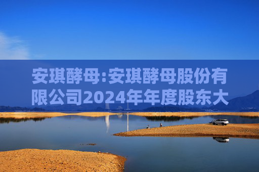 安琪酵母:安琪酵母股份有限公司2024年年度股东大会决议公告