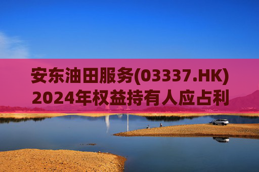安东油田服务(03337.HK)2024年权益持有人应占利润2.43亿元 同比增长约23.5%