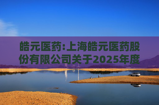 皓元医药:上海皓元医药股份有限公司关于2025年度日常关联交易预计的公告  第1张