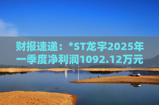 财报速递：*ST龙宇2025年一季度净利润1092.12万元