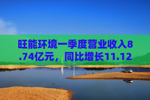 旺能环境一季度营业收入8.74亿元，同比增长11.12%  第1张