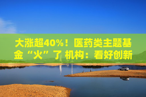 大涨超40%！医药类主题基金“火”了 机构：看好创新药投资机会