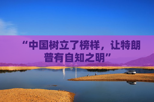 “中国树立了榜样，让特朗普有自知之明”