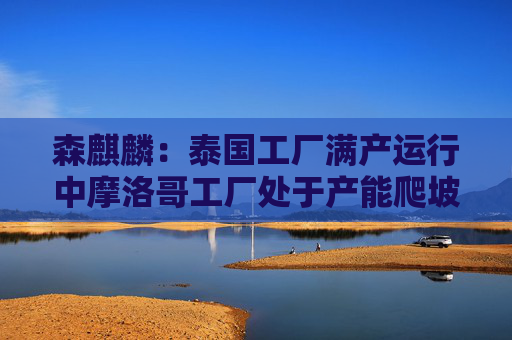 森麒麟：泰国工厂满产运行中摩洛哥工厂处于产能爬坡状态  第1张