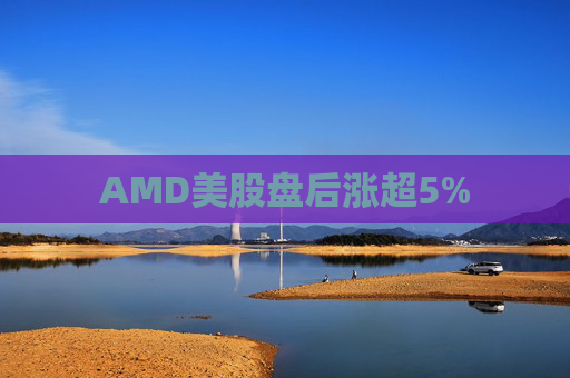 AMD美股盘后涨超5%