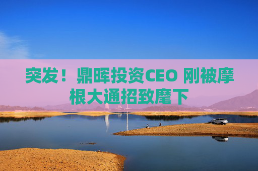 突发！鼎晖投资CEO 刚被摩根大通招致麾下  第1张