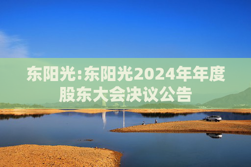 东阳光:东阳光2024年年度股东大会决议公告