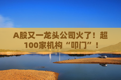 A股又一龙头公司火了！超100家机构“叩门”！