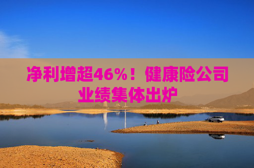 净利增超46%！健康险公司业绩集体出炉