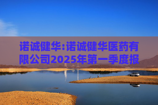 诺诚健华:诺诚健华医药有限公司2025年第一季度报告  第1张