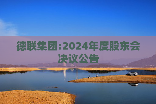 德联集团:2024年度股东会决议公告