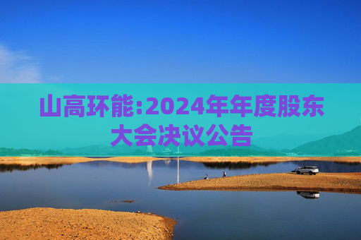 山高环能:2024年年度股东大会决议公告