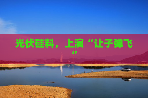 光伏硅料，上演“让子弹飞”