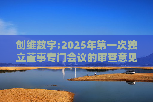创维数字:2025年第一次独立董事专门会议的审查意见  第1张