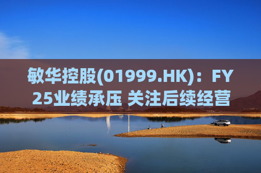 敏华控股(01999.HK)：FY25业绩承压 关注后续经营改善