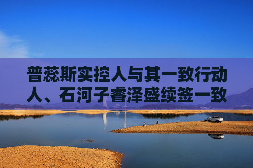 普蕊斯实控人与其一致行动人、石河子睿泽盛续签一致行动协议