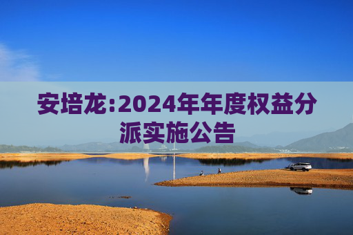 安培龙:2024年年度权益分派实施公告