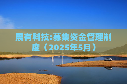 震有科技:募集资金管理制度（2025年5月）