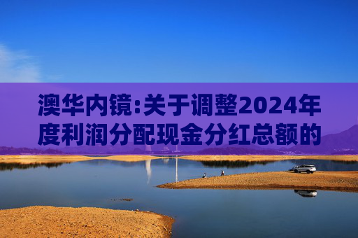 澳华内镜:关于调整2024年度利润分配现金分红总额的公告
