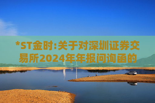 *ST金时:关于对深圳证券交易所2024年年报问询函的回复