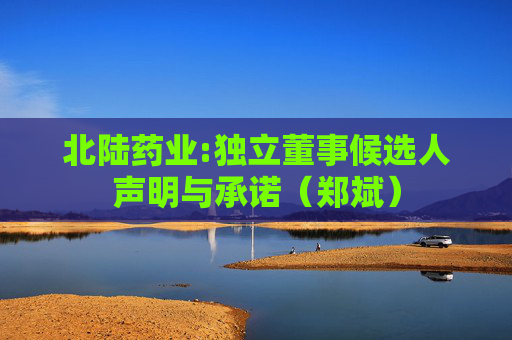 北陆药业:独立董事候选人声明与承诺（郑斌）