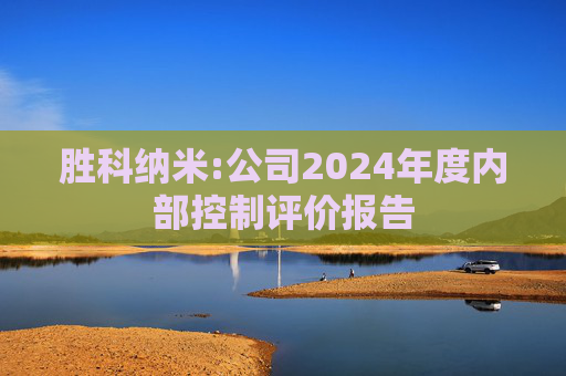 胜科纳米:公司2024年度内部控制评价报告