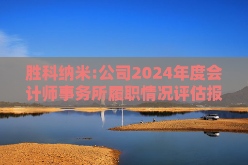 胜科纳米:公司2024年度会计师事务所履职情况评估报告  第1张