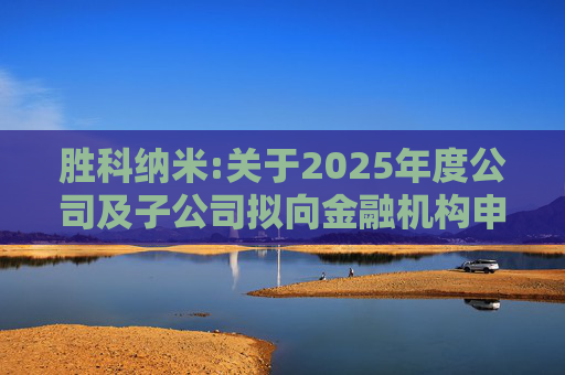 胜科纳米:关于2025年度公司及子公司拟向金融机构申请授信额度及公司为子公司提供担保额度预计的公告