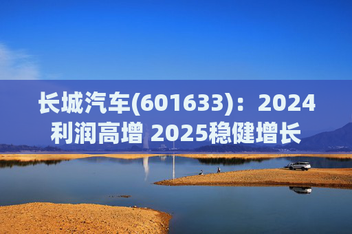 长城汽车(601633)：2024利润高增 2025稳健增长
