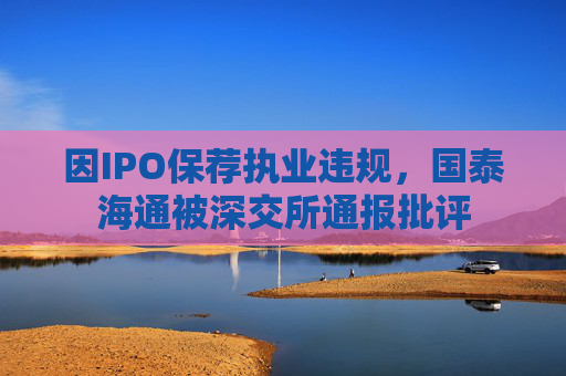 因IPO保荐执业违规，国泰海通被深交所通报批评
