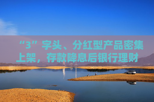 “3”字头、分红型产品密集上架，存款降息后银行理财花式“抢钱”，31万亿市场短期或仍扩容