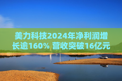 美力科技2024年净利润增长逾160% 营收突破16亿元  第1张