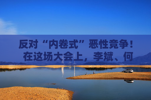 反对“内卷式”恶性竞争！  在这场大会上，李斌、何小鹏、閤先庆等表态“价格战”
