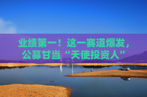业绩第一！这一赛道爆发，公募甘当“天使投资人”