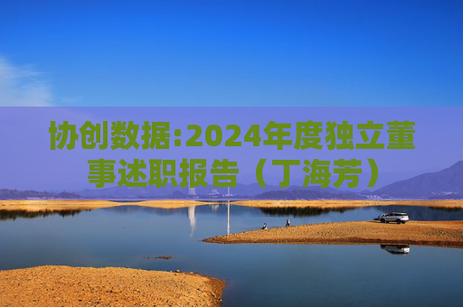协创数据:2024年度独立董事述职报告（丁海芳）