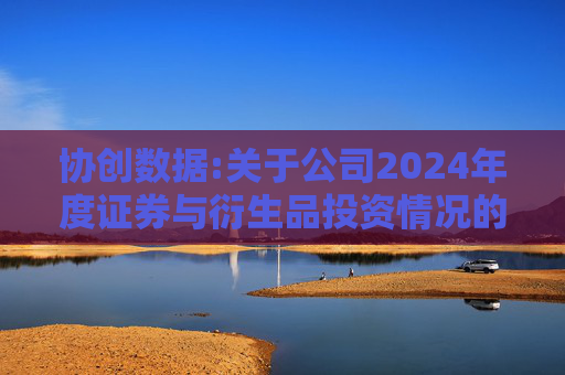 协创数据:关于公司2024年度证券与衍生品投资情况的专项报告