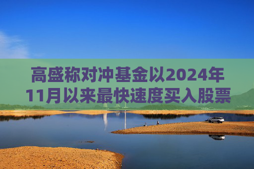 高盛称对冲基金以2024年11月以来最快速度买入股票