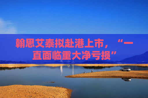 翰思艾泰拟赴港上市，“一直面临重大净亏损”