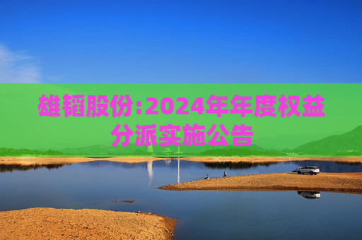 雄韬股份:2024年年度权益分派实施公告