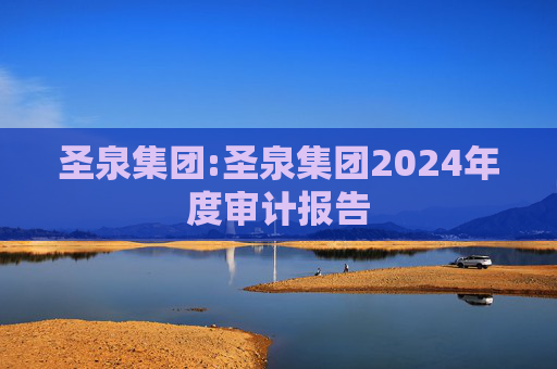 圣泉集团:圣泉集团2024年度审计报告