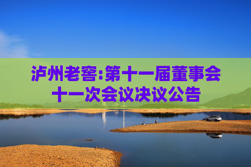 泸州老窖:第十一届董事会十一次会议决议公告